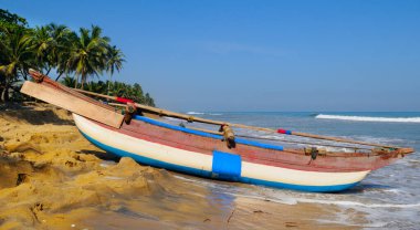 Sri Lanka 'da palmiyeler ve balıkçı tekneleri olan el değmemiş tropik plajlar.