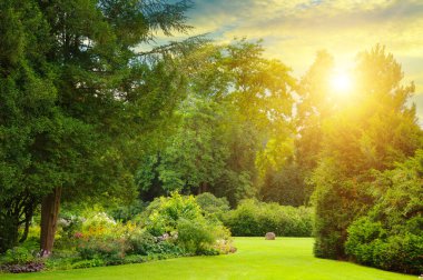 Güzel yaz bahçesi ve gün doğumu