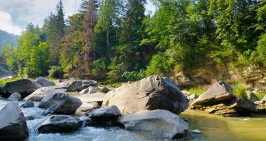 Fırtınalı bir dağ nehri, büyük kayalar ve yüksek bir yamaçta kozalaklı bir orman. Geniş resim.