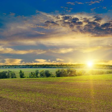 Harvested Fields and meadows landscape . Wavy country scenery at autumn sunset. clipart