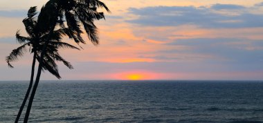 Deniz, palmiye ağacı silueti ve parlak günbatımı. Konsept - tatil ve seyahat. Geniş resim.