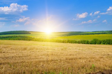 Mavi gökyüzünde hasat edilmiş saman sakalı ve parlak gündoğumu.