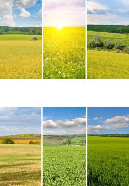 Yeşil alanın panoramik manzarası ve açık bulutlu mavi gökyüzü. Kolaj. Dikey fotoğraf. Metin için boş alan.