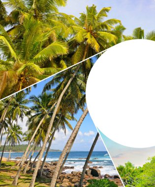 Hindistan cevizi palmiye bahçesi, plaj ve tropikal manzaralar. Kolaj. Mozaik model. Metin için boş alan.