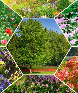 Renkli çiçek ve bahçe kolajı. Mozaik model. Dikey fotoğraf.