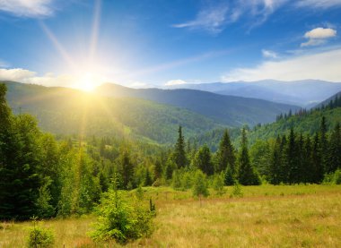 Resimli dağ manzarası, uçsuz bucaksız çayır, çam ormanı ve güzel gün batımı..