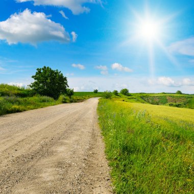 Buğday tarlası, kırsal arazi yolu, tepe arazi ve güzel güneş. Resimli yaz manzarası.