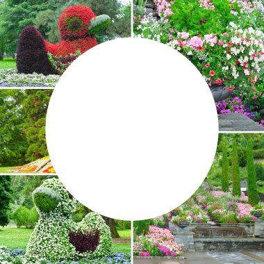 Mainau Adası, Almanya 'da güzel renkli çiçek yatakları. Kolaj. Mozaik model. Metin için boş alan.