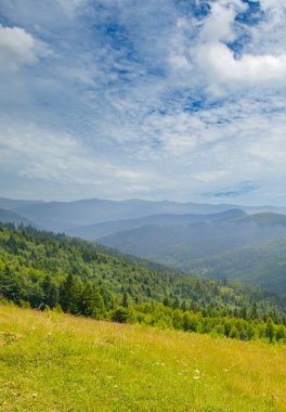 Yağmurdan sonra Misty Carpathian dağ vadisi. Konsept - tatil ve seyahat. Dikey fotoğraf.