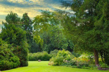Kozalaklı ve yaprak döken ağaçları olan güzel bir bahçe ve parlak bir gündoğumu..