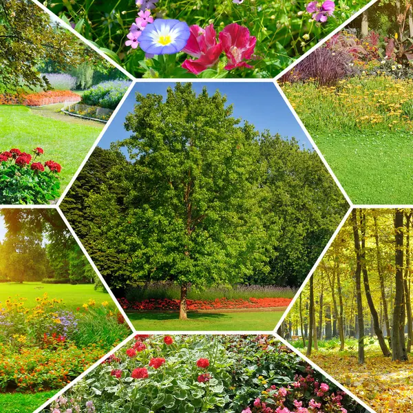 Bahçelerdeki ve parklardaki çiçek tarhları. Kolaj. Mozaik desen.