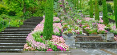 Çiçek adasındaki İtalyan çiçek suyu merdivenleri Constance Gölü 'ndeki Mainau, Almanya Geniş Fotoğraf.