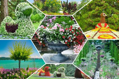 Mainau Adası, Almanya 'da güzel renkli çiçek yatakları. Kolaj. Mozaik desen.