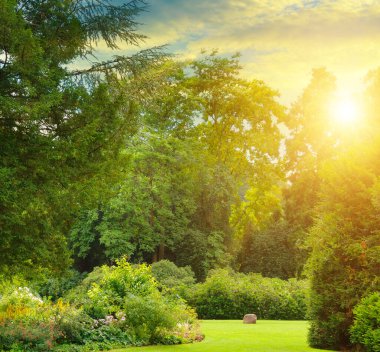 Kozalaklı ve yaprak döken ağaçları olan güzel bir bahçe ve parlak bir gündoğumu..
