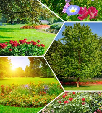 Bahçelerdeki ve parklardaki çiçek tarhları. Kolaj. Mozaik desen.