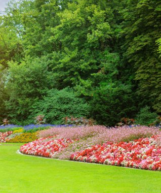 Güzel çiçek tarhları olan bir yaz bahçesi. Dikey fotoğraf.