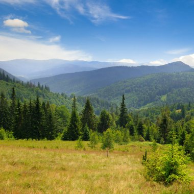 Dağ sıraları, kozalaklı ormanlar ve mavi gökyüzü ile resmedilmiş dağ manzarası. Karpat Dağları, Ukrayna.