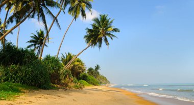 Plaj beldesi manzarası, tropik dalgalar sörf. Güneşli gökyüzü yaz turizmi tatili. Lüks bir geçmişi var. Muhteşem deniz manzaralı mavi deniz, egzotik seyahat yerleri. Geniş resim.