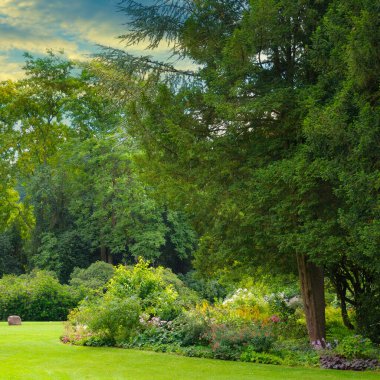 Kozalaklı ve yaprak döken ağaçları olan güzel bir bahçe ve parlak bir gündoğumu..