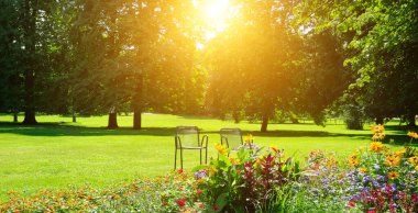 Çiçekli ve gündoğumlu güzel bir bahçe. Geniş resim.