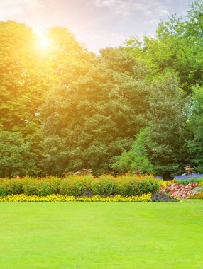 Barışçıl ve güneşli bir parkta yemyeşil bir çimen, canlı çiçek yatakları ve büyük yapraklı ağaçlar bulunur. Görüntü sakin bir yaz sabahını yakalar, doğa, rahatlama ve açık hava güzelliği için mükemmel bir tema. Dikey fotoğraf.