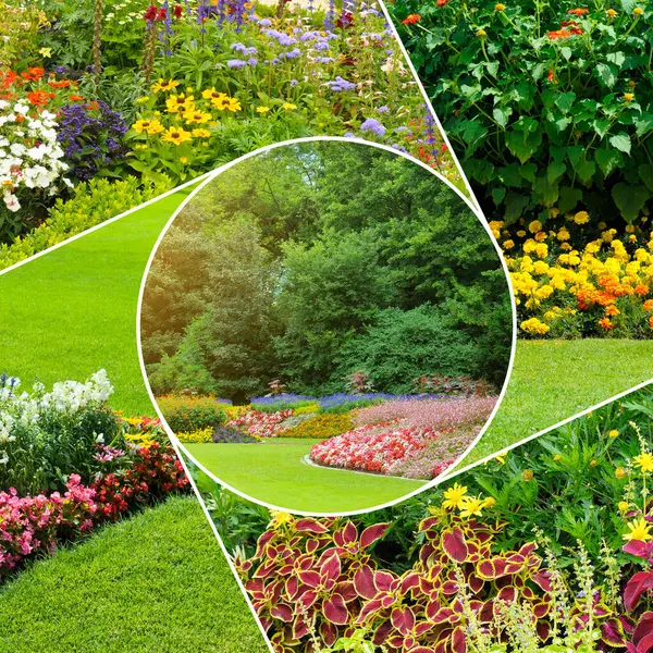 Canlı ve renkli bir fotoğraf kolajı çeşitli çiçekler ve yeşil manzaralar sergiliyor, dinamik ve soyut bir kompozisyonda düzenleniyor. Görüntünün farklı perspektifleri ve zengin renkleri doğa, bahçe ve çevre temaları için idealdir..