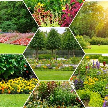 Canlı bir altıgen kolaj, yemyeşil çimenler, çeşitli çiçek tarlaları ve uzun ağaçların yer aldığı güzel bir parktan çeşitli sahneler sergiliyor. Görüntüler, doğa ve manzara tasarımı için ideal olan huzurlu ve renkli bir ruh hali yakalıyor..