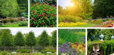 A dynamic collage shows a beautiful park with various flower beds, green lawns, and a sunny path. The images capture the essence of a serene, beautiful garden and the joy of springtime.