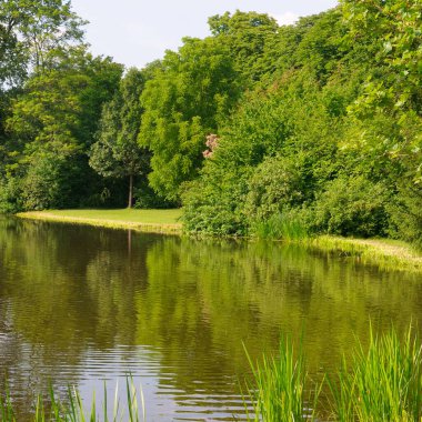 Sakin bir yaz sahnesinde, berrak bir gökyüzünün altında yemyeşil ağaçlar ve çimenli kıyılarla çevrili sakin bir gölet yer alıyor. Görüntü huzur ve doğal güzellik hissi veriyor, ön planda çimenler derinlik ve doku katıyor..