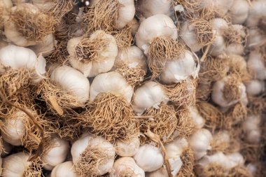 Fresh garlics on market stall, close up