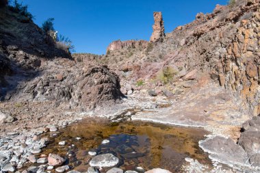 Arizona 'da çorak bir çölde, kanyonun dibindeki havuza akan küçük dere.