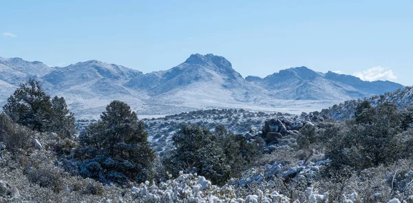Kar Fırtınasından Sonra Engebeli Arizona Dağlarında Donmuş Kış Manzarası Panoramiği — Stok fotoğraf