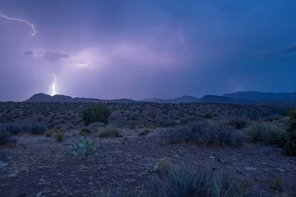 Electrical Storm Multiple Lightning Bolts Fill Sky High Desert Arizona — Stock Photo, Image
