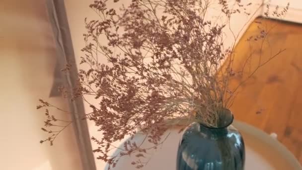 Над Знімком Запилених Рожевих Сушених Диких Квітів Сучасній Скляній Вазі — стокове відео