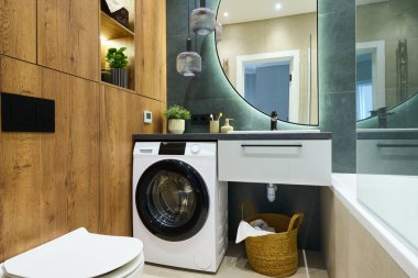 Part of bathroom with mirror, sink, wooden closet, bodycare items and domestic plants on washing machine and two lamps
