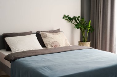 Comfortable double bed with soft cushions and blue blanket, green domestic plant in flowerpot standing in the corner by grey curtains