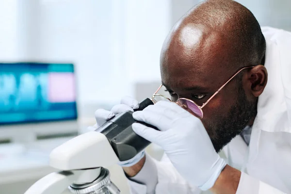 Scientifique Afro Américain Chauve Gants Lunettes Recherche Nouveaux Virus Bactéries — Photo