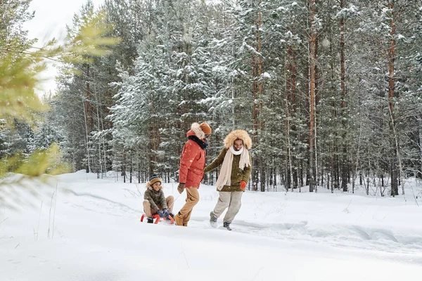 Happy African American Family Three Sledging Winter Forest Winter Resort — Foto Stock
