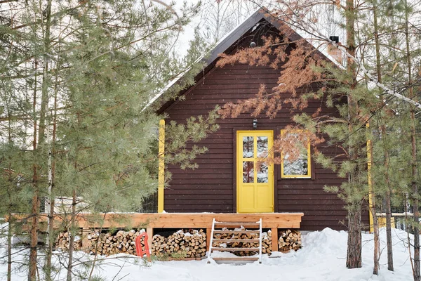 黄色のドアと小さな窓のある茶色の木造カントリーハウスの森の中に立って針葉樹の木に囲まれて — ストック写真
