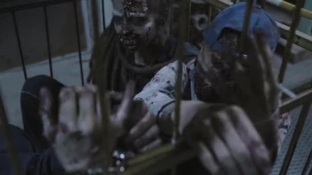 Creepy Zombies Captured Cage Dark Basement Industrial Building — Vídeo de Stock