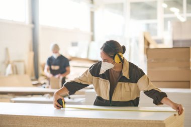 Female worker in protective headset and mask using tape measure to check the length of wooden boards, she working at furniture factory