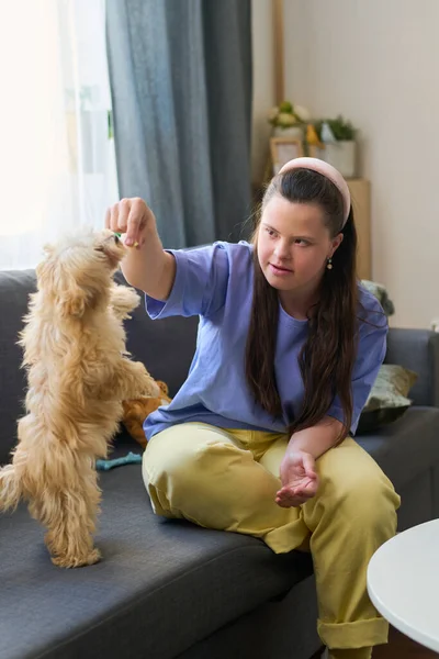 Happy Young Woman Syndrome Casualwear Feeding Her Cute Fluffy Pet — ストック写真