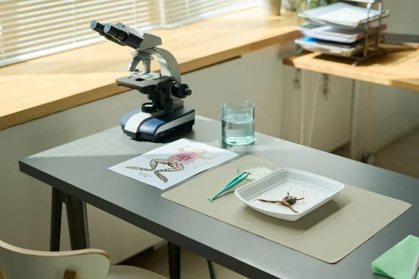 カエルの解剖及び教室での顕微鏡検査のための灰色の机の上の用品及び装置のグループ — ストック写真
