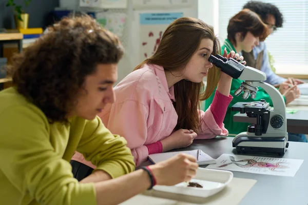 Tonårstjej Casualwear Studerar Dissekerad Del Groda Mikroskop Medan Sitter Vid — Stockfoto