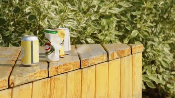 緑の茂みの横にある木製のベンチに空のソーダ缶の完全なショットと小石がそれらに投げられ いくつかの缶を打つとノックオーバー — ストック動画