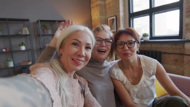 Pov Olgun Kadının Ele Tutuşup Kameraya Gülümseyip Sallamalarını Rahat Bir — Stok video