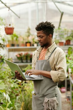 Üniformalı Afrikalı genç bahçıvan seradaki işi sırasında bitki türlerini araştırmak için dizüstü bilgisayar kullanıyor.