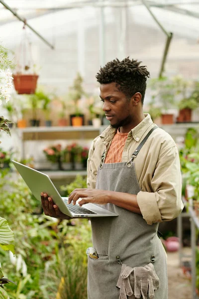 Jardinero Joven Africano Uniforme Usando Ordenador Portátil Para Buscar Sobre — Foto de Stock