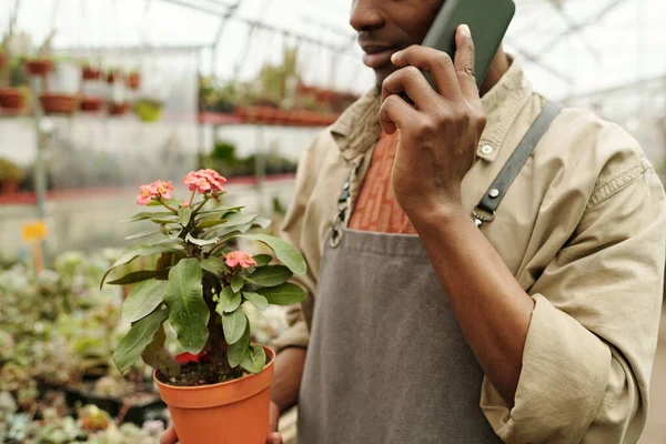 Zbliżenie Pracownika Mundurze Niosącego Kwiat Garnku Dla Klienta Rozmawiającego Przez — Zdjęcie stockowe