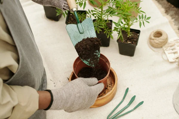 Close Gardener Gloves Pouring Earth Shovel Pot Transplanting Plants — Stock Photo, Image